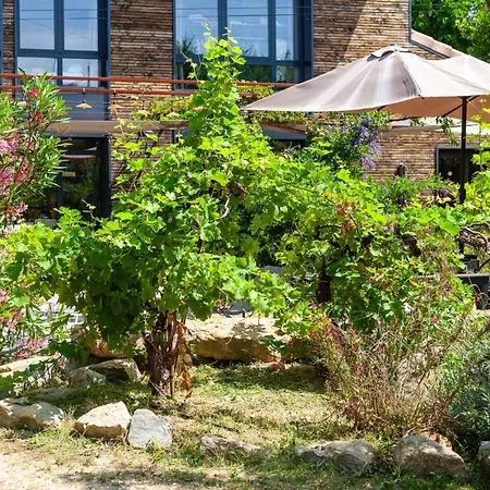 Osez Adélaïde Villa